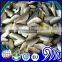Sardines Hgt, superb quality