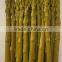 Canned Green Asparagus 340g
