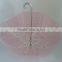 Transparent umbrella apollo style umbrella cage shaped umbrella POE umbrella