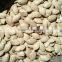 Competitive price~ 2015 new crop Shine Skin Pumpkin seeds,kernels
