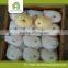 Fresh crown pears bulk purchase