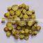 Scutellaria Baicalensis (Huang Qin)