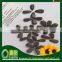 Promotion :Round Type Sunflower Seed Top Quality 1121,909 low price