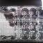 plastic quail eggs tray /supply 12hole quail egg blister tray