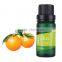 Hot Sale Essential Sunflower Oil solvent Extractor