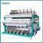 Large Output Gum Arabic Color Sorter