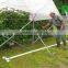High Tunnel Greenhouse Tunnel Galvanized Tube Single or Multi Span Film Greenhouse Low Cost for Farming