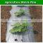 Agriculture Plastic Products Plastic Mulch Film Price