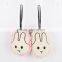 Mouse Rabbit Microfiber Chenille cleaning sponge