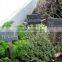 Natural Slate stick for garden yard