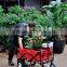 Picnic/Shopping Cart