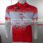 2017 China hot sale cycling crazy cycling team jersey