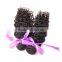 Mongolian Kinky Curly Hair Extension for Black Women 4c Afro Kinky Curly Human Hair Weave