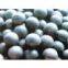 supply steel grinding ball