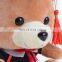 Low price plush sitting graduation teddy bear toy with doctor hat