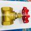 branded brass gate valves brass material BSP thread water gate valve