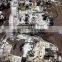 Used gearbox 12JSD160TA