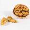 White Half Cut Kernels & Light White Walnut Kernel & Balanced Walnut Kernel & Nut