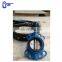 Hot Sale Customized Long Stem Wafer Butterfly Valve with price