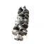 TEOLAND High quality factory Automobile china engine crankshaft for hyundai sonata 1.6 2015 2016 231102B710