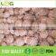 Hot sale smooth surface fresh shiitake mushroom