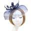 Women's Fascinator Hair Clip Feather Net with Veil Party Derby Cocktail Hat Wedding Accessory