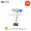 Hot Selling Interactive Colorful Feather Teaser Cat Toy Free Shipping