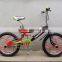 2016 latest Saudi Arabia 20 inch bmx bike with 3.0 tire/bmx bike prices (PW-FS20310)