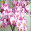 home decoration high quality artificial orchid flower wholesale