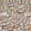 2015 GOOD light speckel kidney beansCHINA (HOT SALE)
