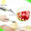 Amazon hot sale fruit and vegetable slicing set carving tools 4pcs set
