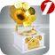 Creative retro gramophone birthday gift music