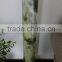 Rare large natural hsiuyen jade crystal point wand for sale