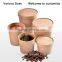 Kraft Paper Cup Disposable Hot Drink Paper Soup Cups