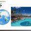Pool44 Dolphin wall decor Pool glass mosaic Glass mosaic for swimming pool tile