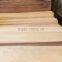 4*8 rotaryt cut natural birch veneer with real factory in India market