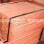 Cu 99.99% Electrolytic Copper Cathodes