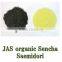 JAS Organic "SENCHA" GREEN TEA : Organic Fist Flush Loose Leaf Teas made in Japan