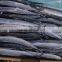 BQF indian mackerel best sale pacific saury frozen fish for bait