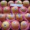 2015 new season corp fresh fruit fuji apple wholesale for exporting