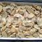 Professional supplier	manufactures Sliced Portobello Mushrooms reasonable water himalayan mushroom