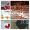 automatic auger poultry broiler feeding system