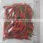 Frozen Red Chilli From Viet Nam with best price and high quality