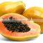 Papaya/pawpaw Multiple layer continuous type mesh belt dryer