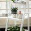 new wooden dispaly rack with 3 layer, decorative wooden plant rack