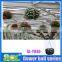 Decorative Metal Hanging Basket Planters Ball Planter SOL SL-Y206