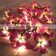 35 Flower Frangipani Bedroom or Living Room Hanging Lights
