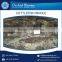 Good Quality Widely Demanded Cuttlefish Whole Round Available in Tray Packing