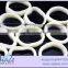 IQF Squid Rings- todarodes pacificus-frozen ring