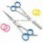 Professional Hairdressing Scissors